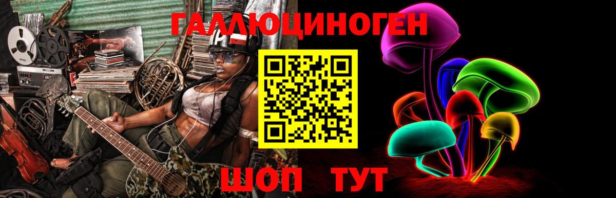 Чита  Галлюциногенные грибы Magic Shrooms  Вход с VPN  Галлюциногенные грибы мухоморы 